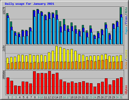 Daily usage for January 2021