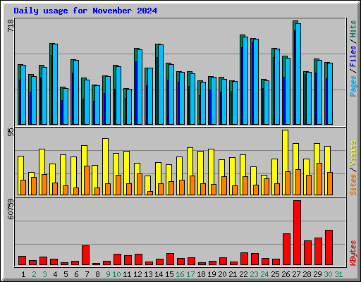 Daily usage for November 2024