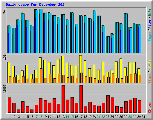 Daily usage for December 2024