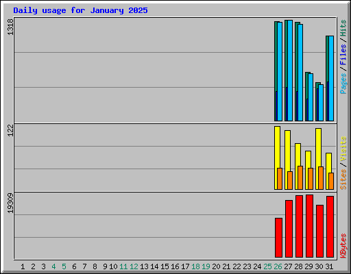 Daily usage for January 2025