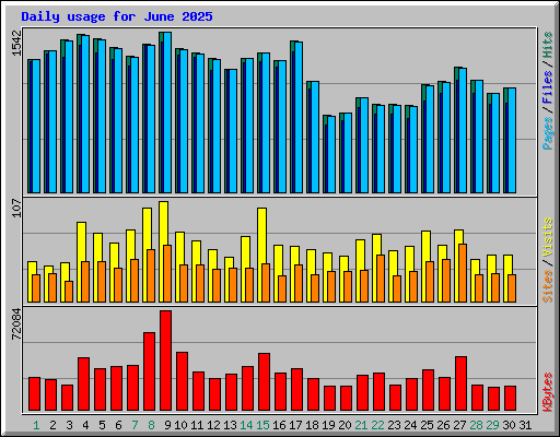 Daily usage for June 2025
