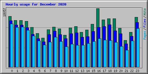 Hourly usage for December 2020