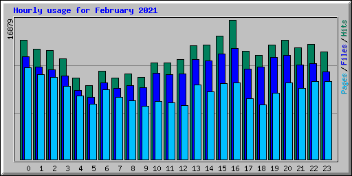 Hourly usage for February 2021