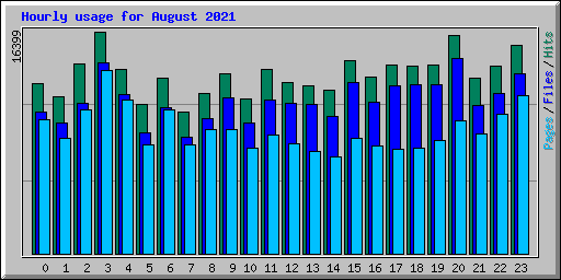 Hourly usage for August 2021