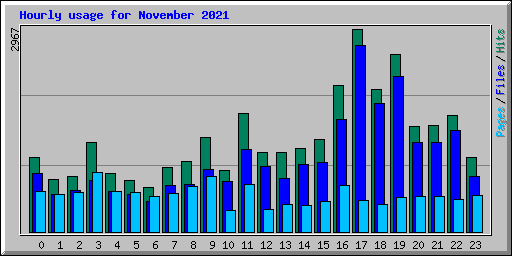 Hourly usage for November 2021