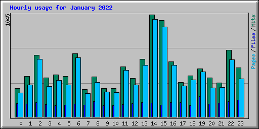 Hourly usage for January 2022