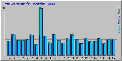 Hourly usage for December 2022