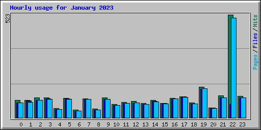 Hourly usage for January 2023