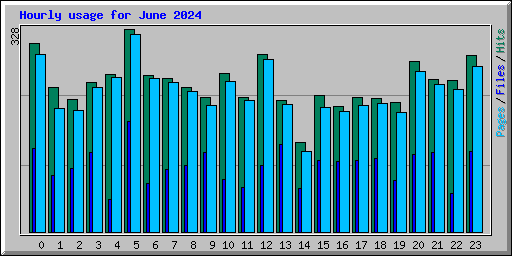 Hourly usage for June 2024