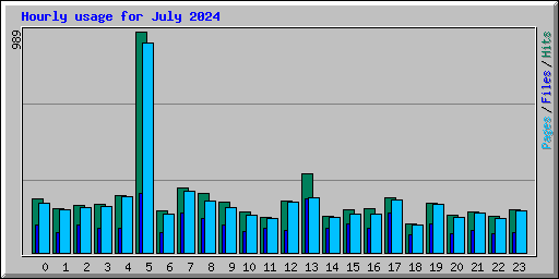 Hourly usage for July 2024