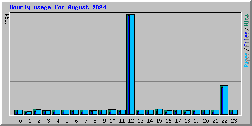 Hourly usage for August 2024