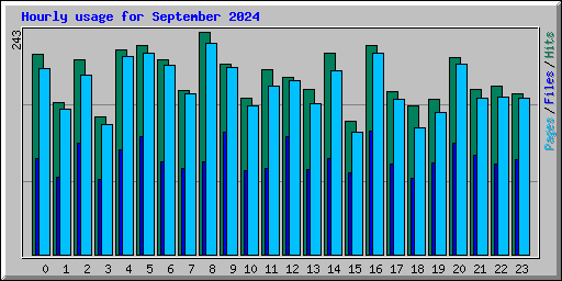 Hourly usage for September 2024