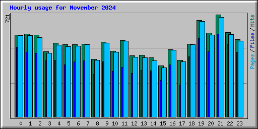 Hourly usage for November 2024