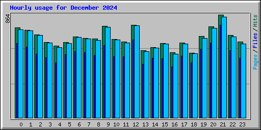 Hourly usage for December 2024