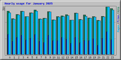 Hourly usage for January 2025