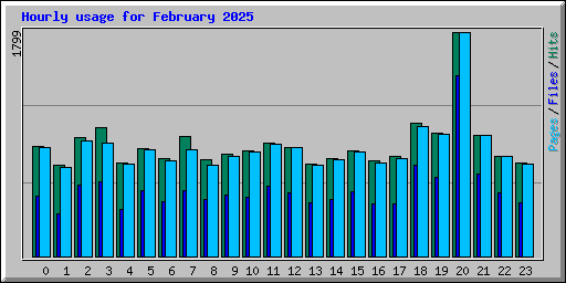 Hourly usage for February 2025