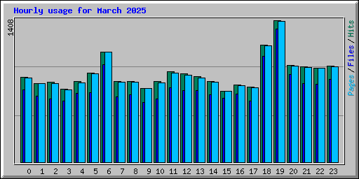 Hourly usage for March 2025