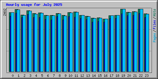 Hourly usage for July 2025