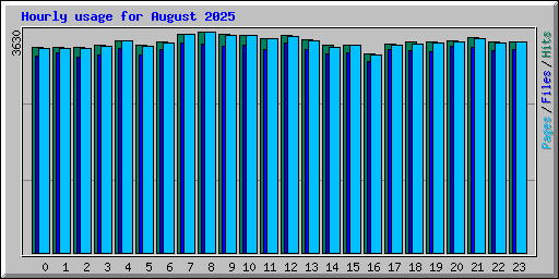 Hourly usage for August 2025