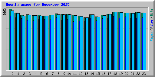 Hourly usage for December 2025