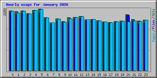 Hourly usage for January 2026